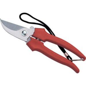 Forbice Raccolta a Mezzaluna Ausonia CM 19