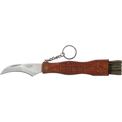 Coltello Serramanico x Funghi de Luca Inox/legno + Spazzolino CM 19