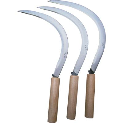 Falciola Dentata 2501 Orsatti Acciaio Forgiato N°7/0